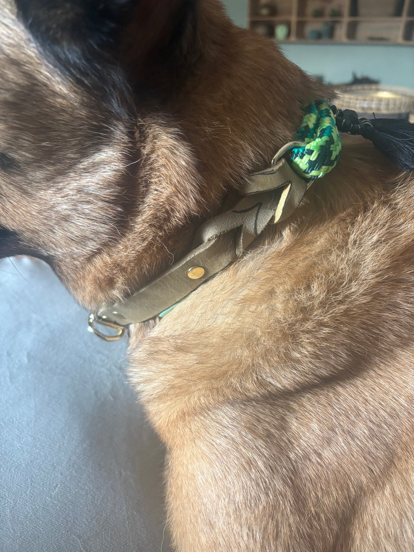 Halsband Snake